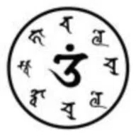 avatar icon
