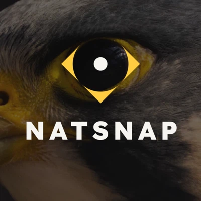 avatar icon