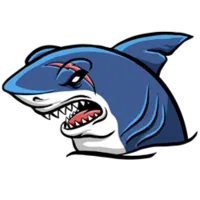 avatar icon