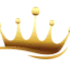 avatar icon