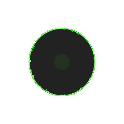avatar icon