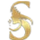 avatar icon