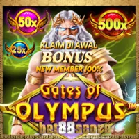 avatar icon