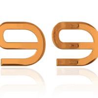 avatar icon