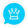avatar icon