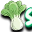 avatar icon