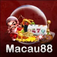 avatar icon
