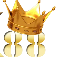 avatar icon