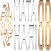 avatar icon