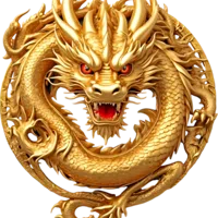 avatar icon