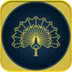 avatar icon