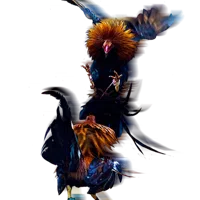 avatar icon