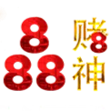 avatar icon