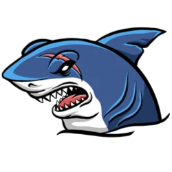 avatar icon