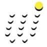 avatar icon