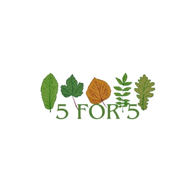avatar icon