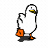 avatar icon