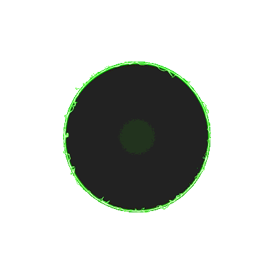 avatar icon