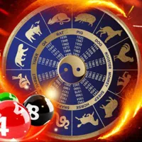 avatar icon