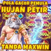 avatar icon
