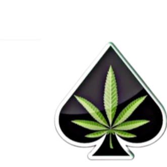 avatar icon