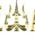 avatar icon
