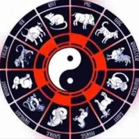 avatar icon
