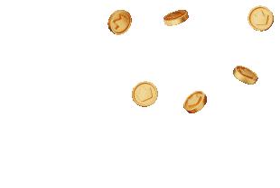 Flash image