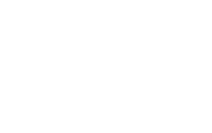 Flash image
